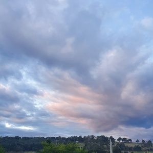 Meet your Posher, Freya